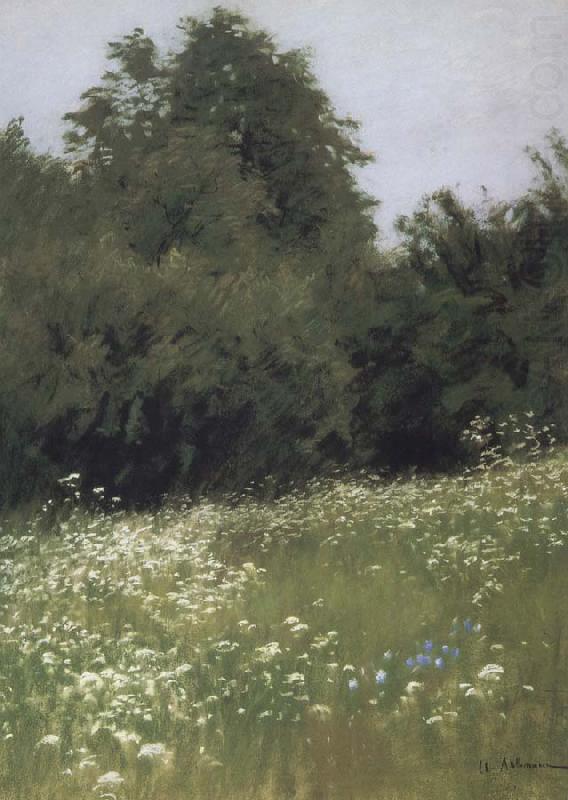 Levitan, Isaak Meadow at the forest edge china oil painting image